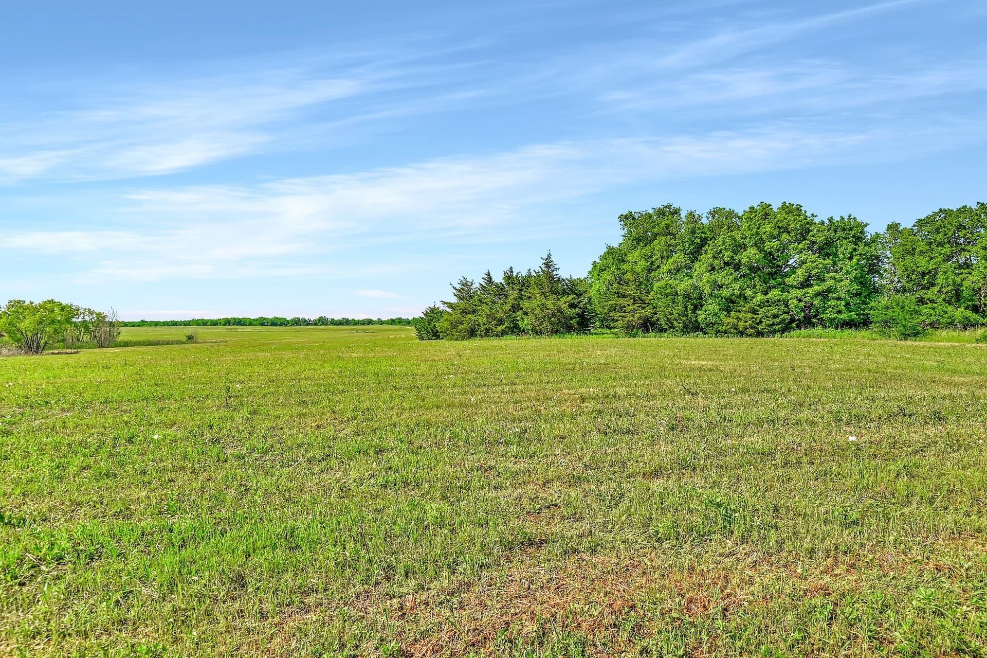 38.11 acres in Grayson County featured view