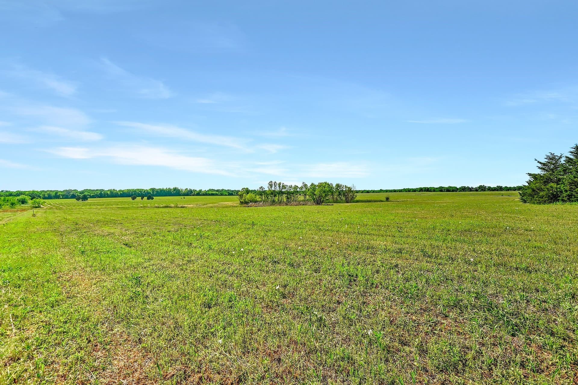 38.11 acres in Grayson County - photo 6