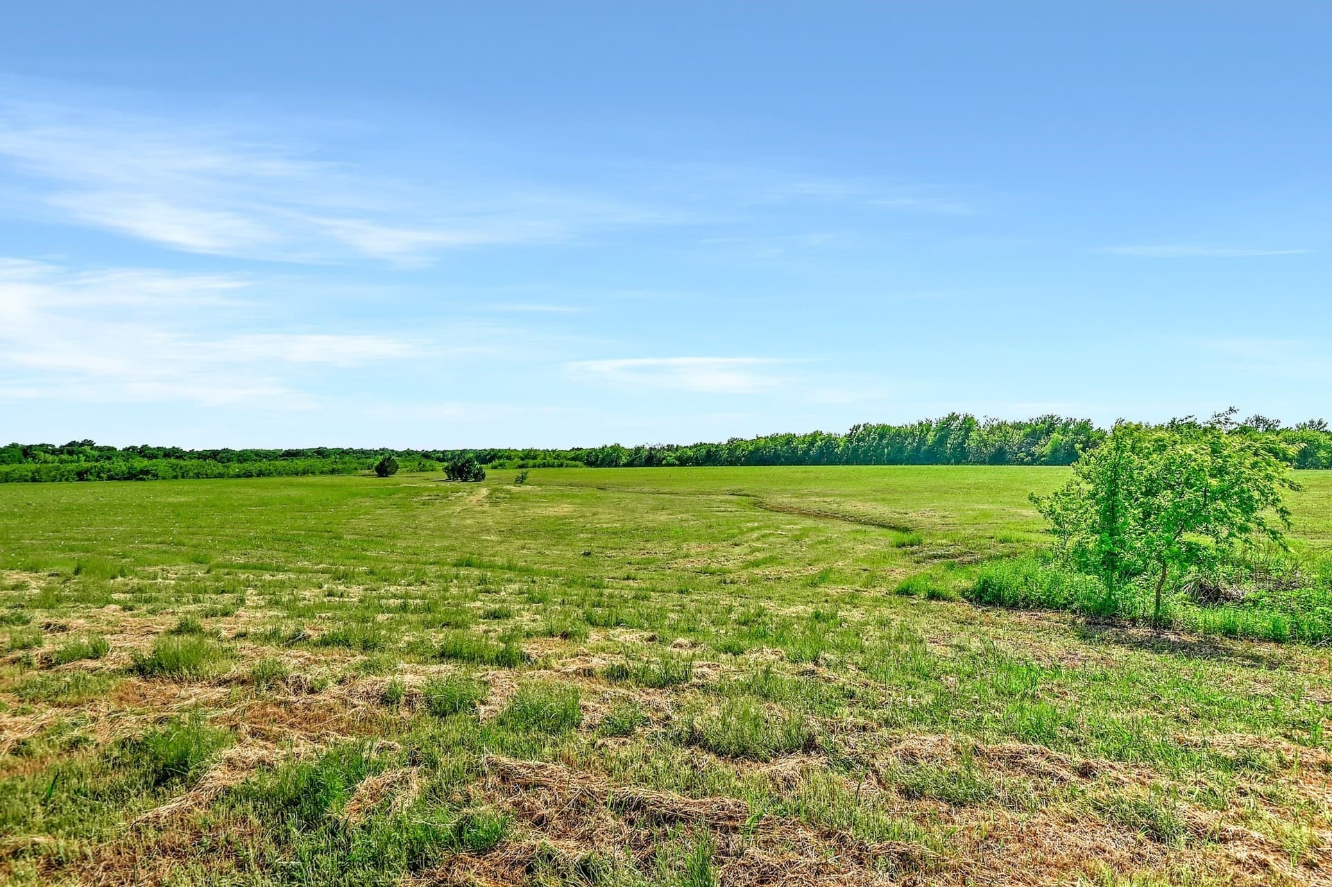 38.11 acres in Grayson County - photo 23