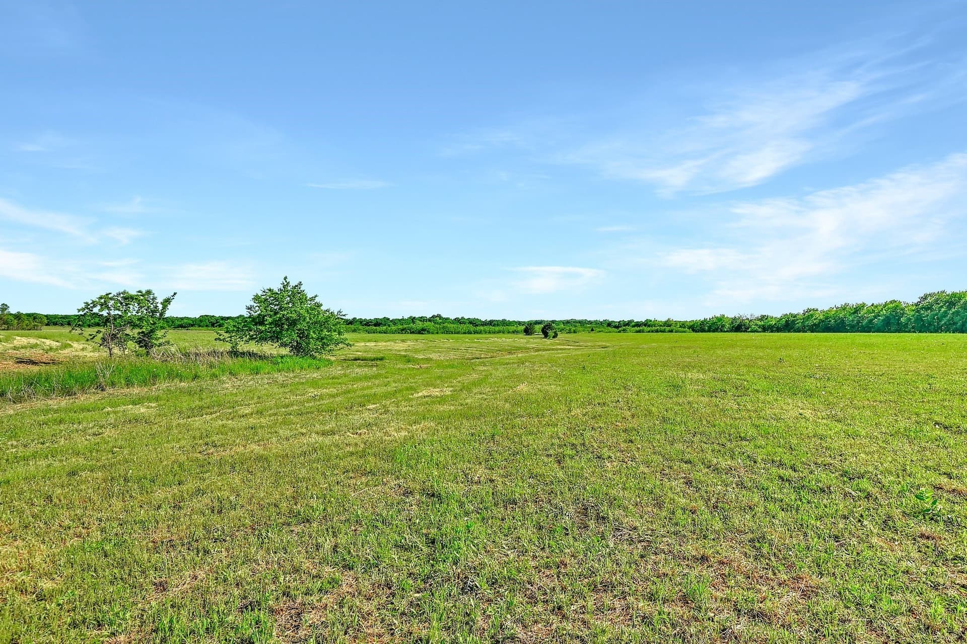 38.11 acres in Grayson County - photo 21
