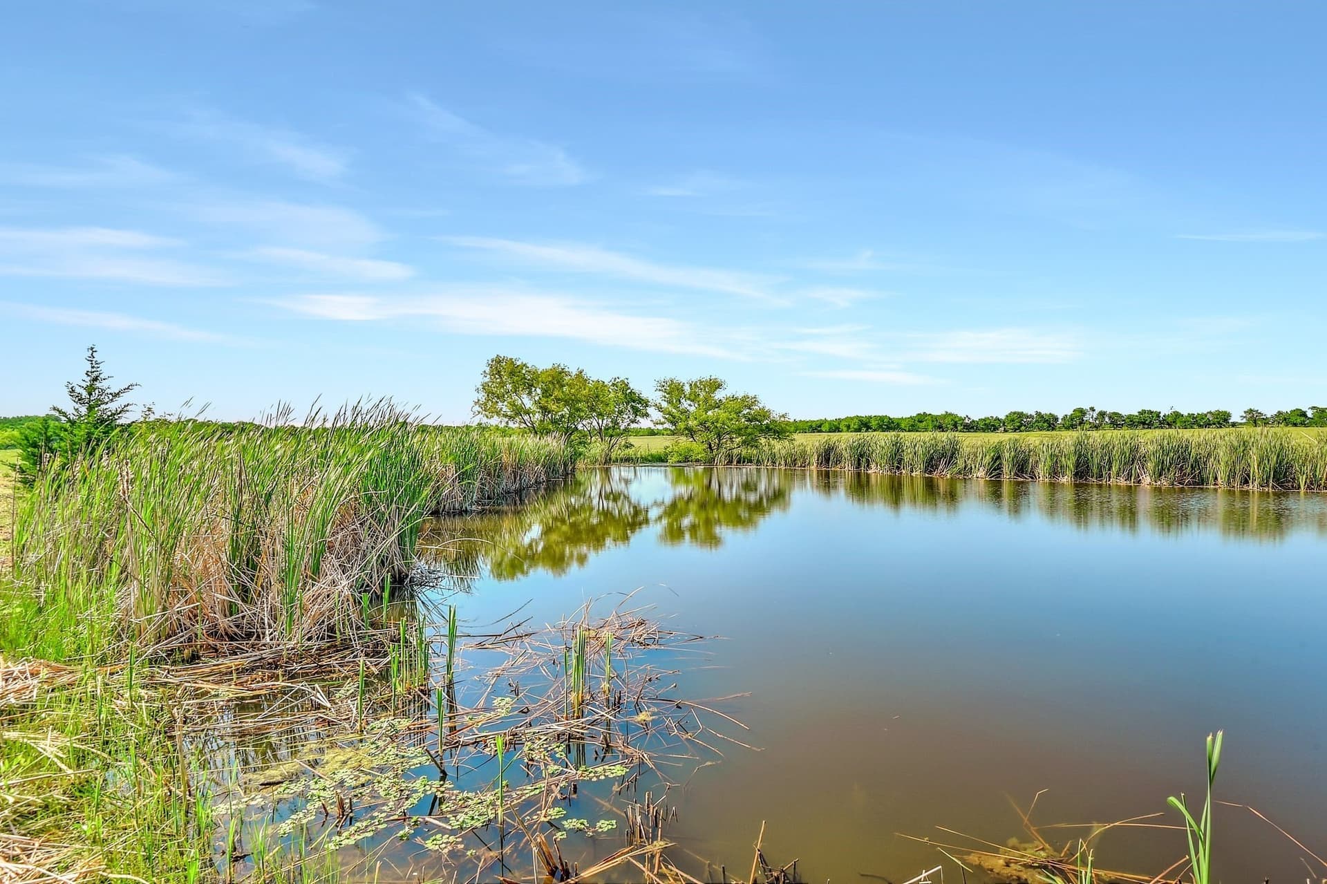 38.11 acres in Grayson County - photo 26