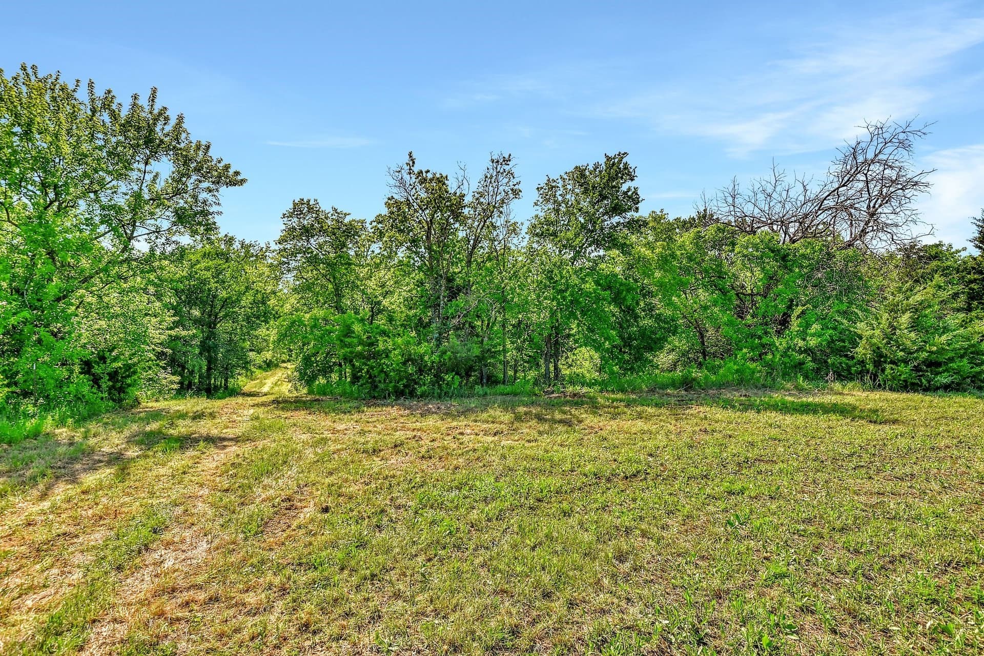 38.11 acres in Grayson County - photo 9