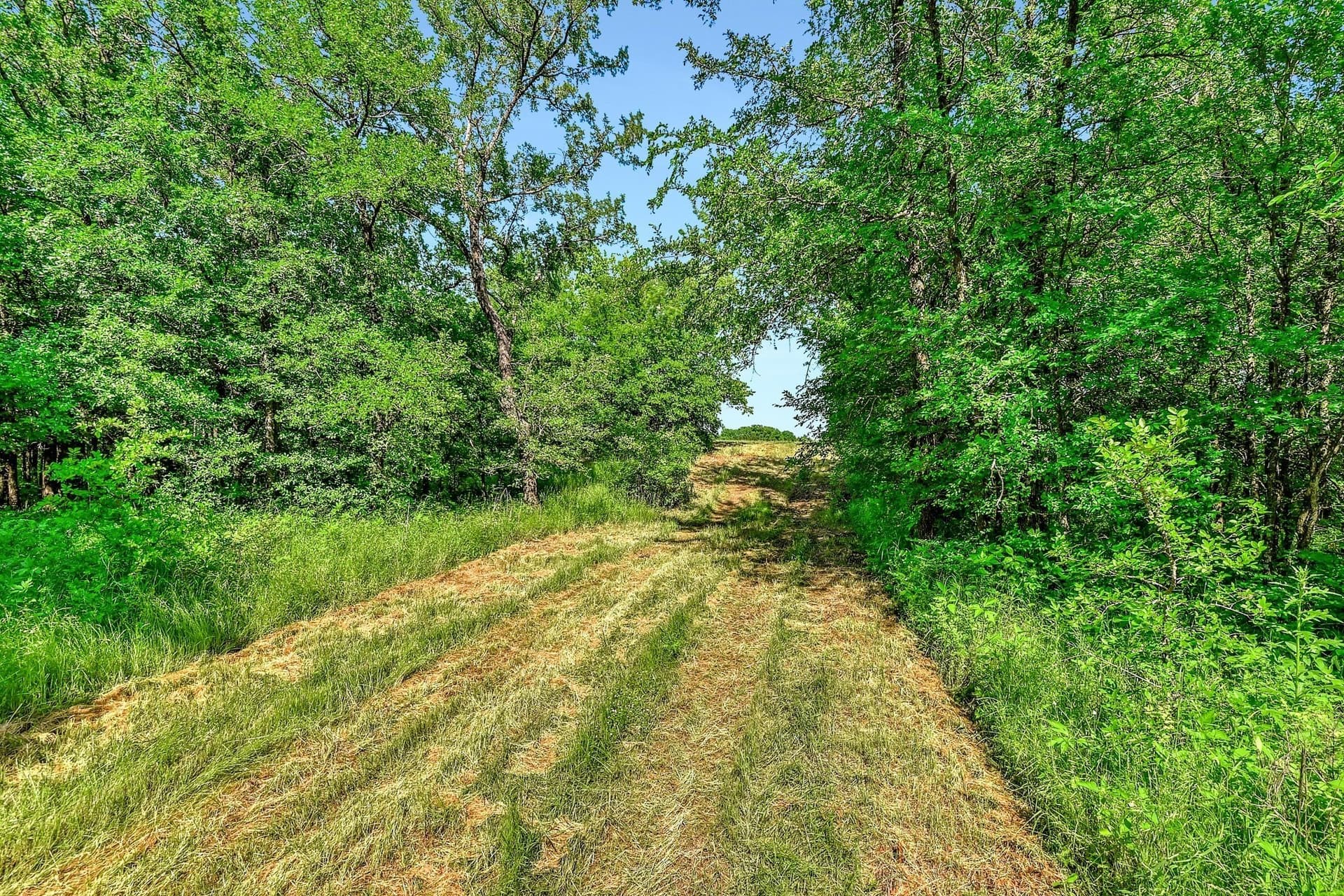38.11 acres in Grayson County - photo 12