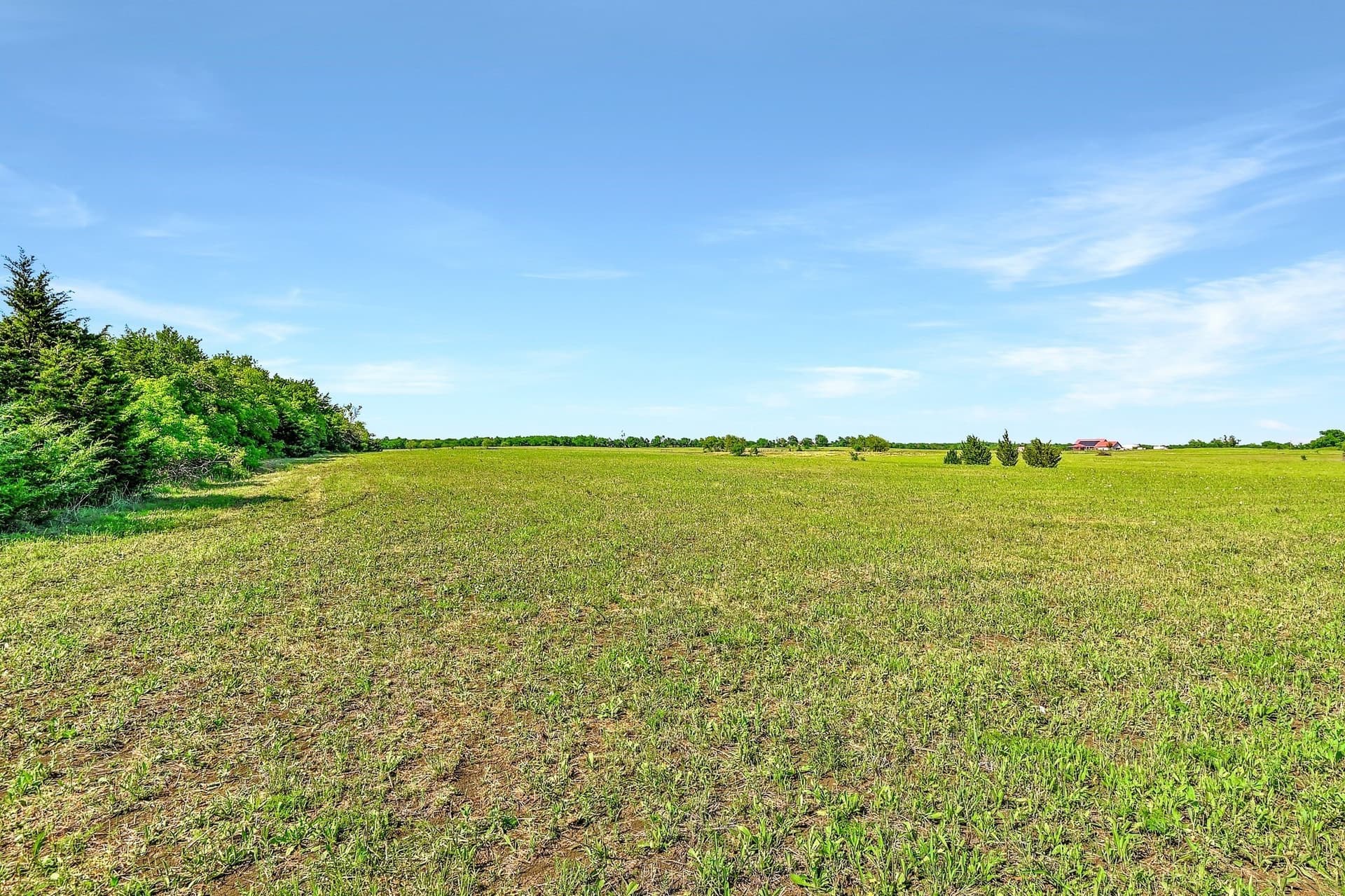 38.11 acres in Grayson County - photo 11