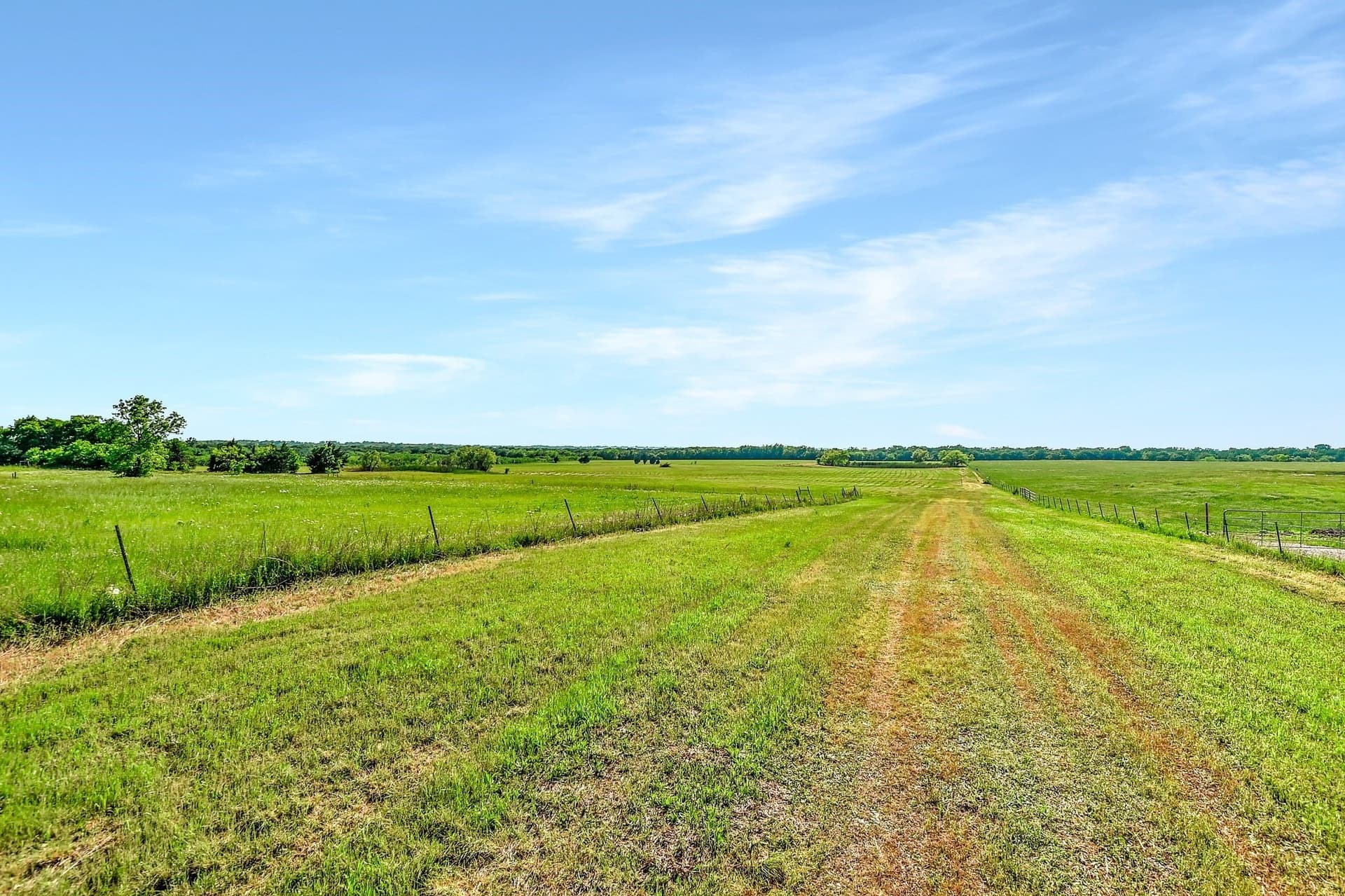 38.11 acres in Grayson County - photo 28