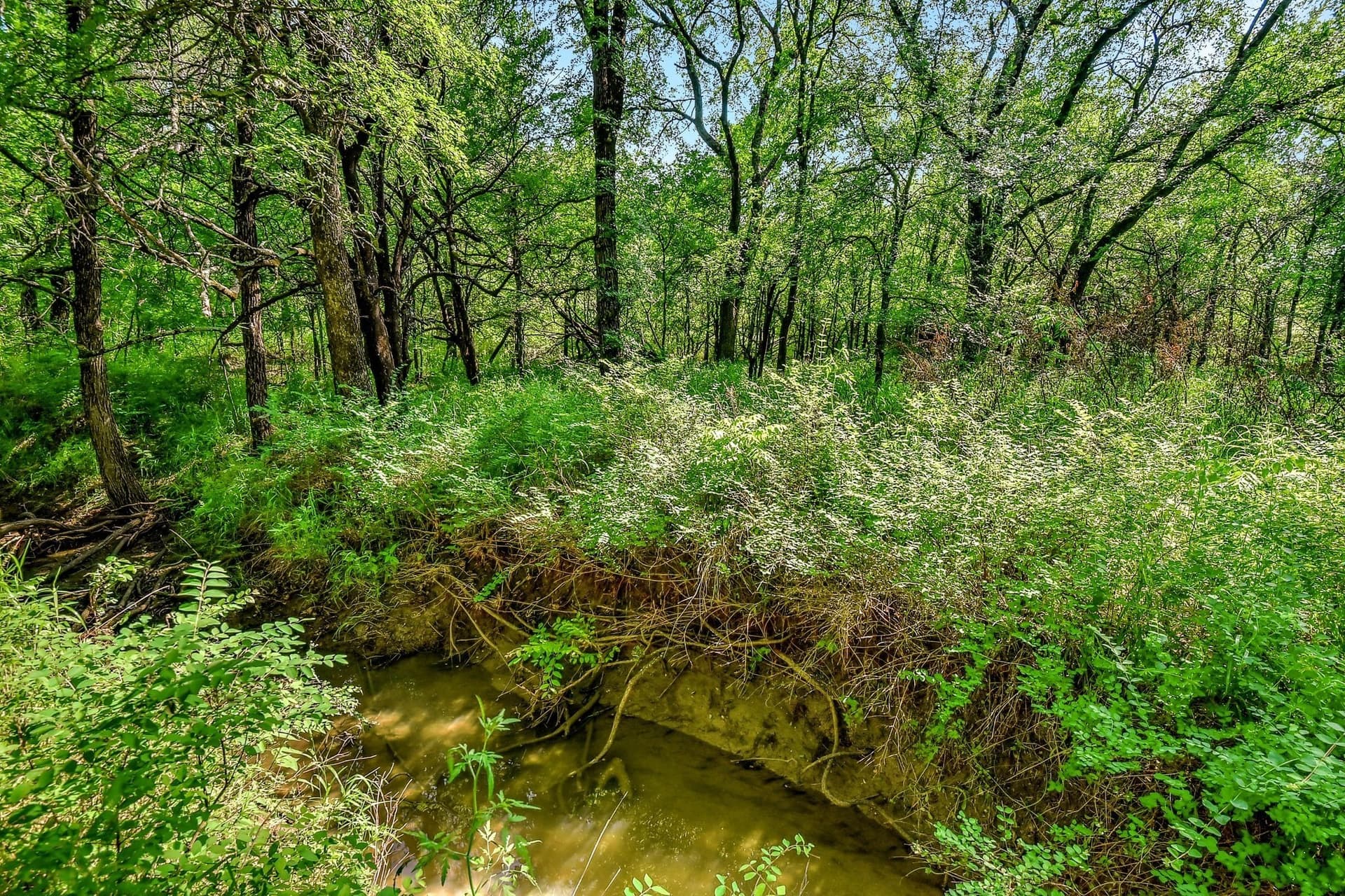 38.11 acres in Grayson County - photo 15