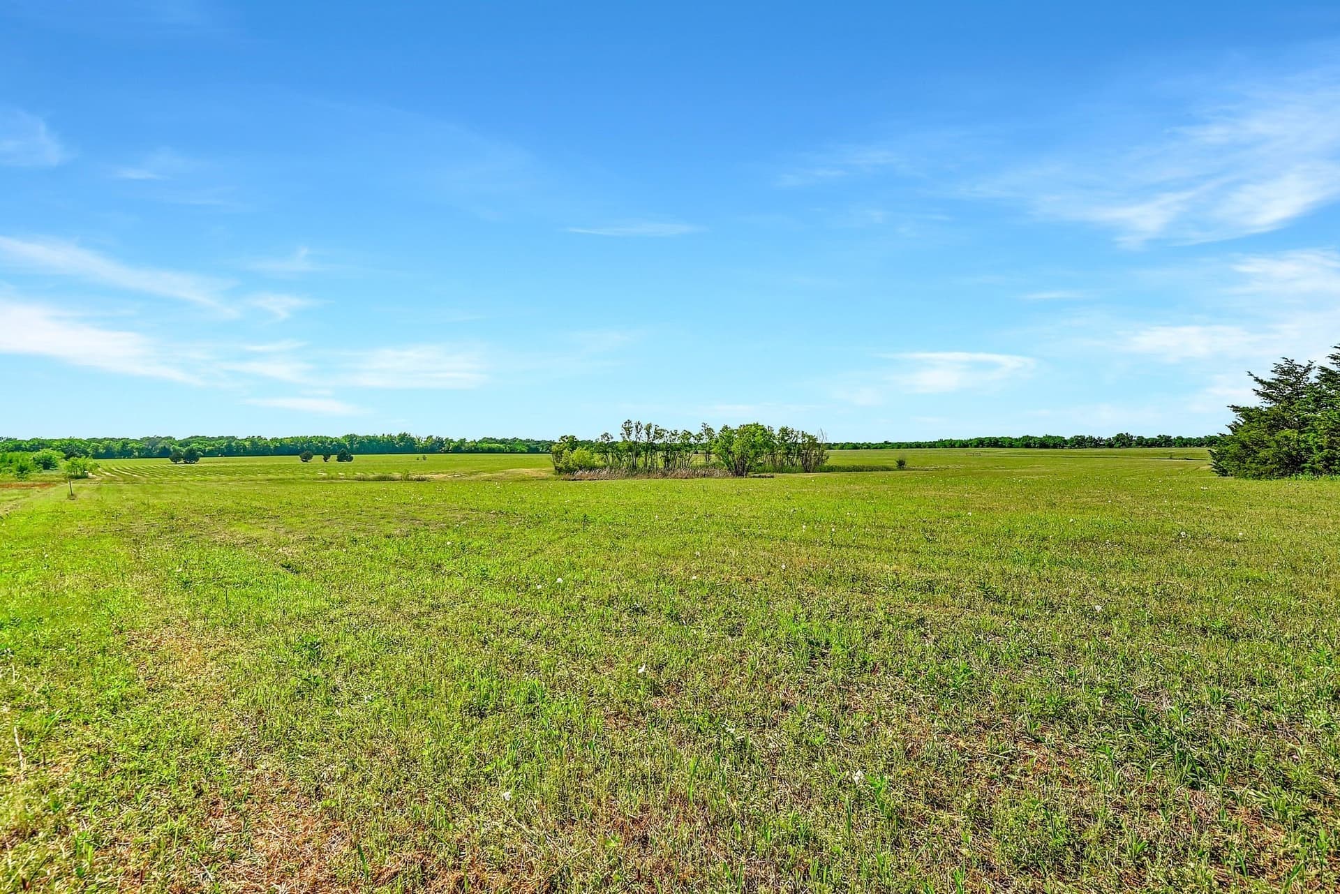 38.11 acres in Grayson County - photo 7