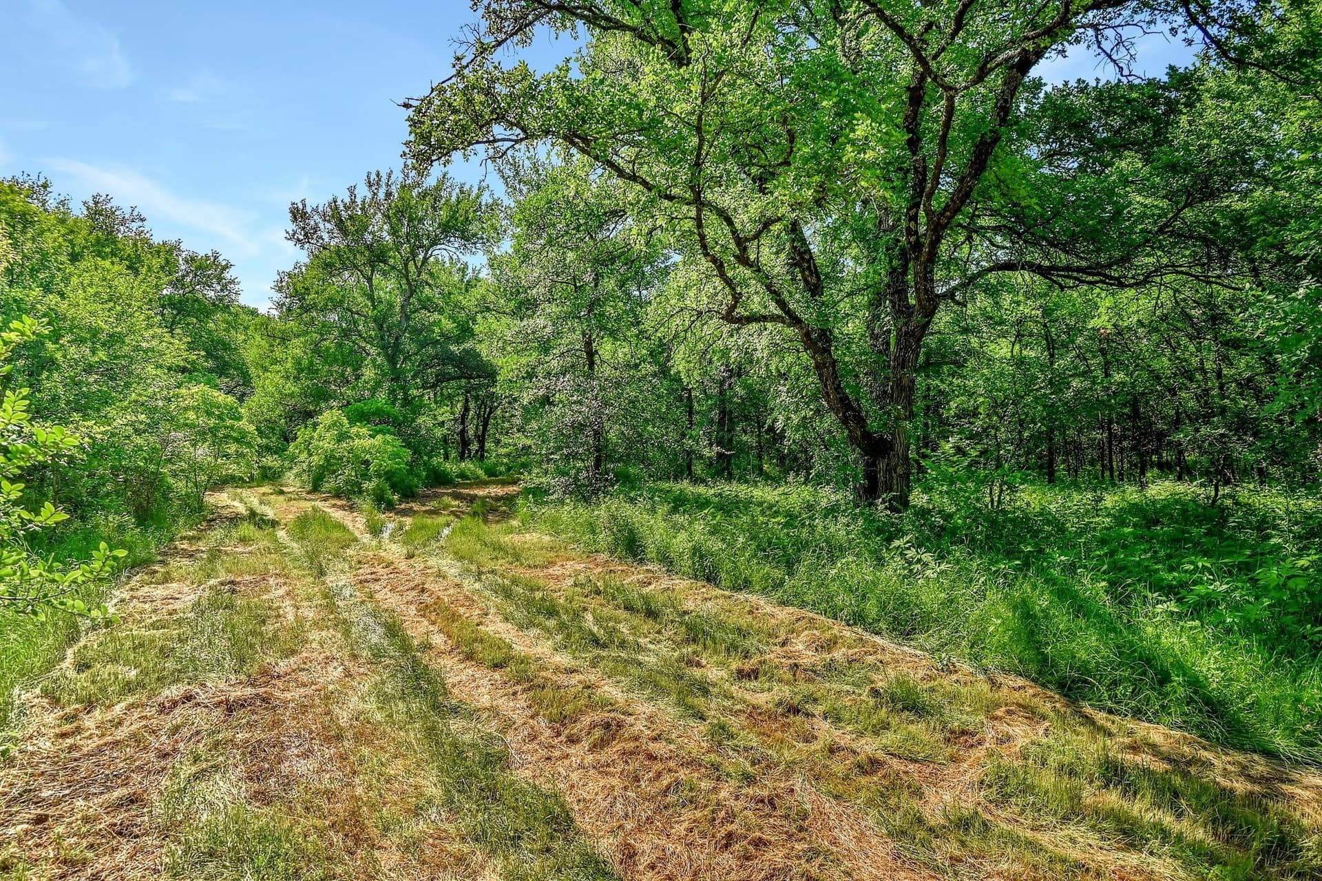 38.11 acres in Grayson County - photo 13