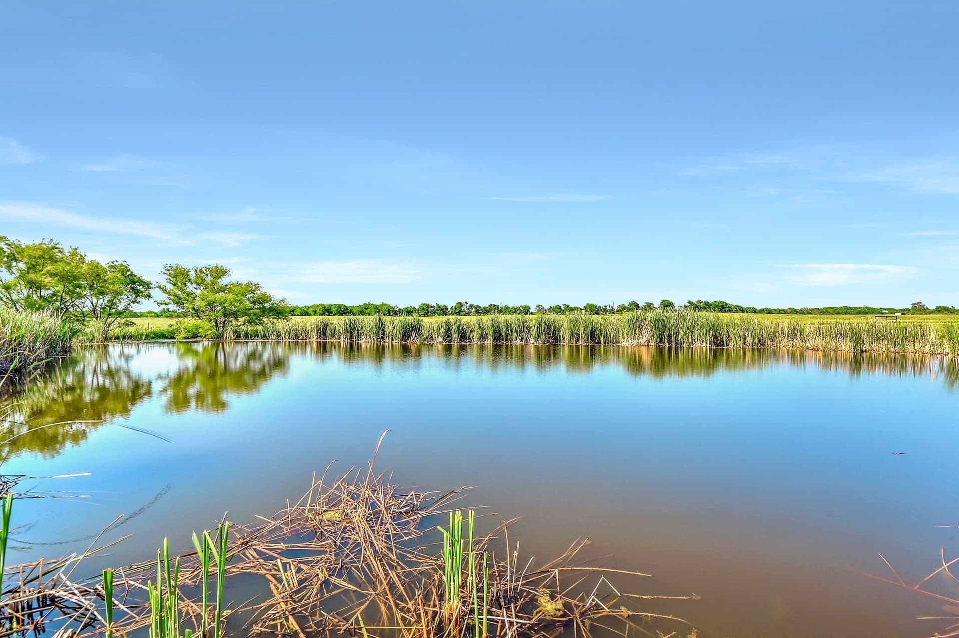 38.11 acres in Grayson County - photo 25