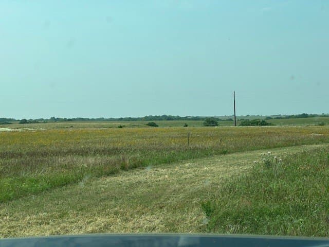 10.03 acres in Montague County gallery image 4