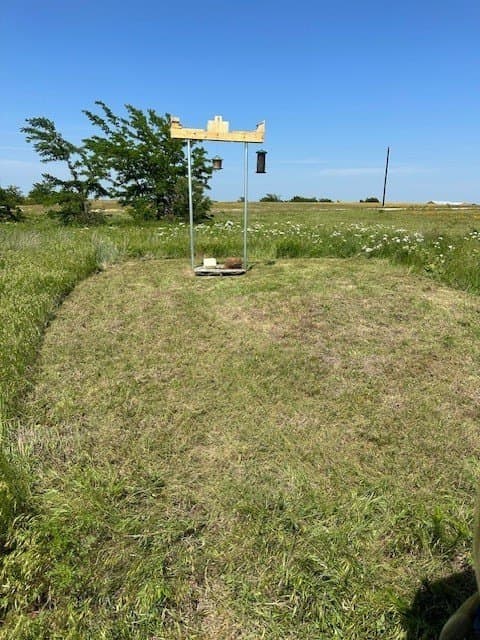 10.03 acres in Montague County gallery image 3