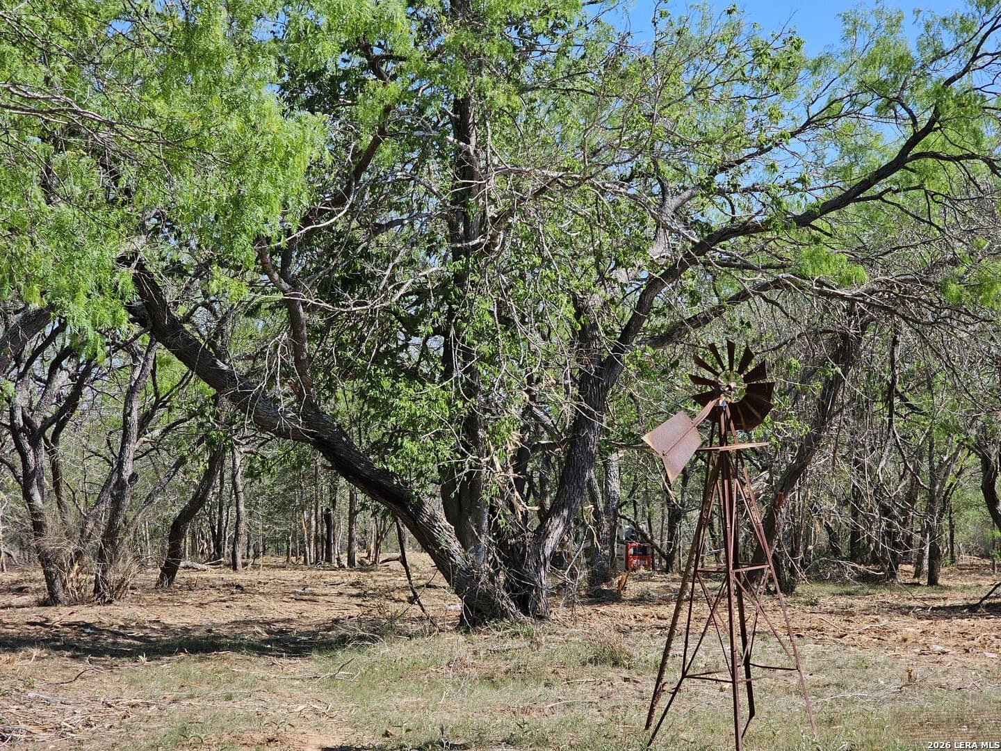 10.3 acres in Guadalupe County gallery image 2