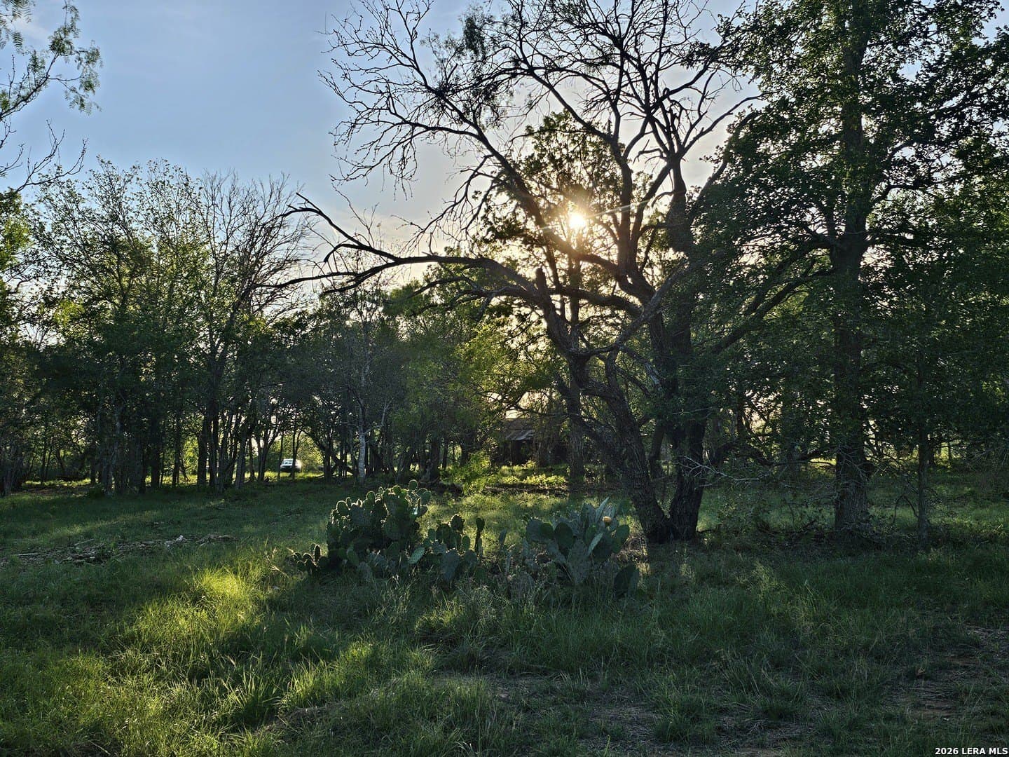 10.3 acres in Guadalupe County gallery image 4