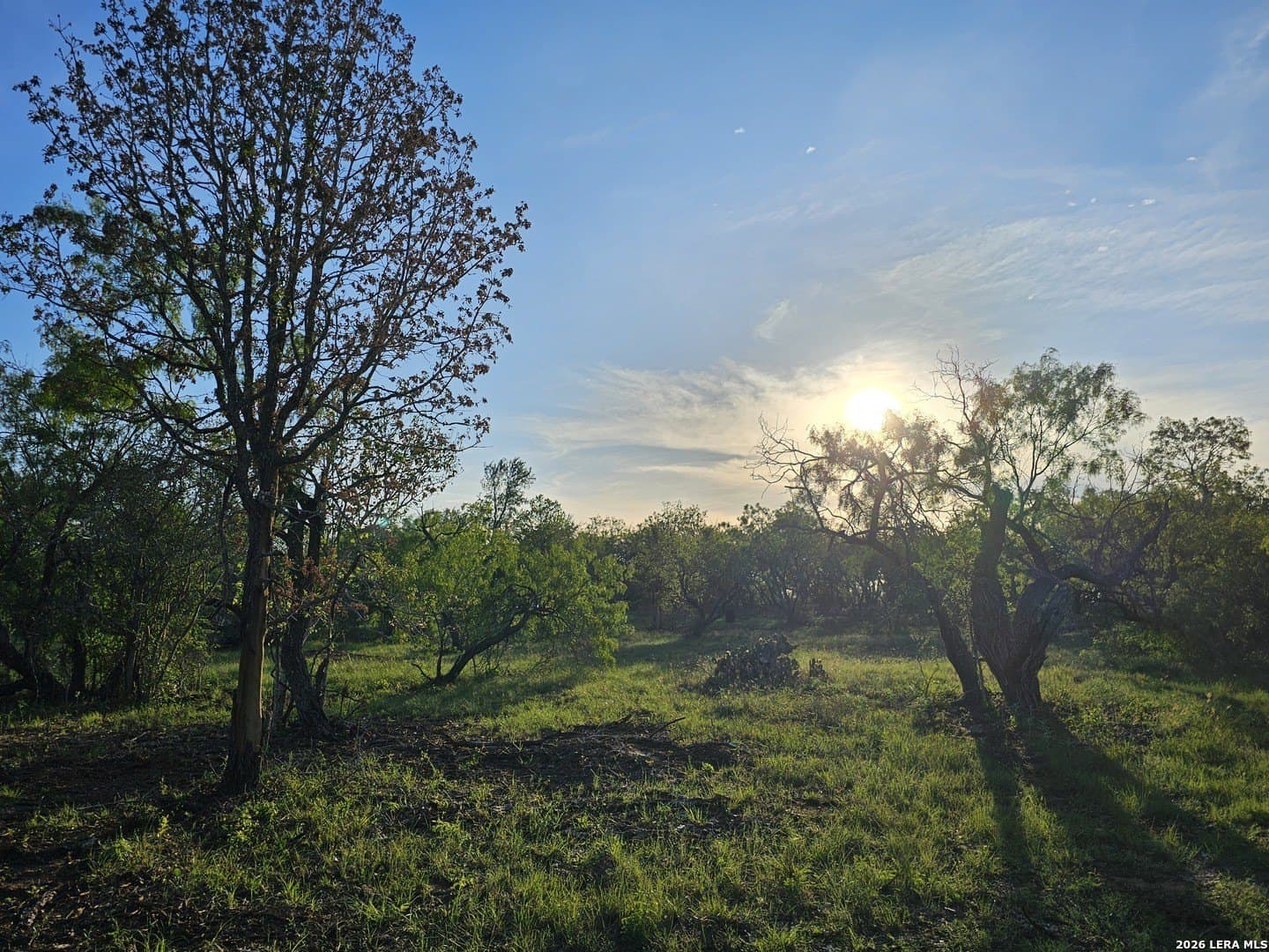 10.3 acres in Guadalupe County featured view