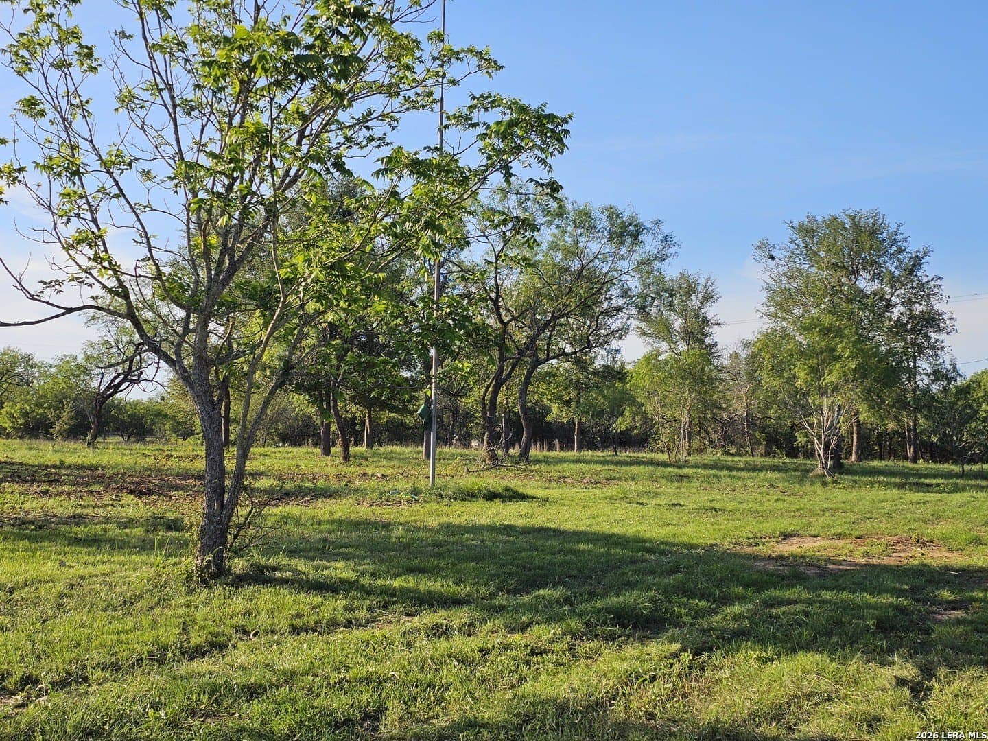 10.3 acres in Guadalupe County gallery image 3