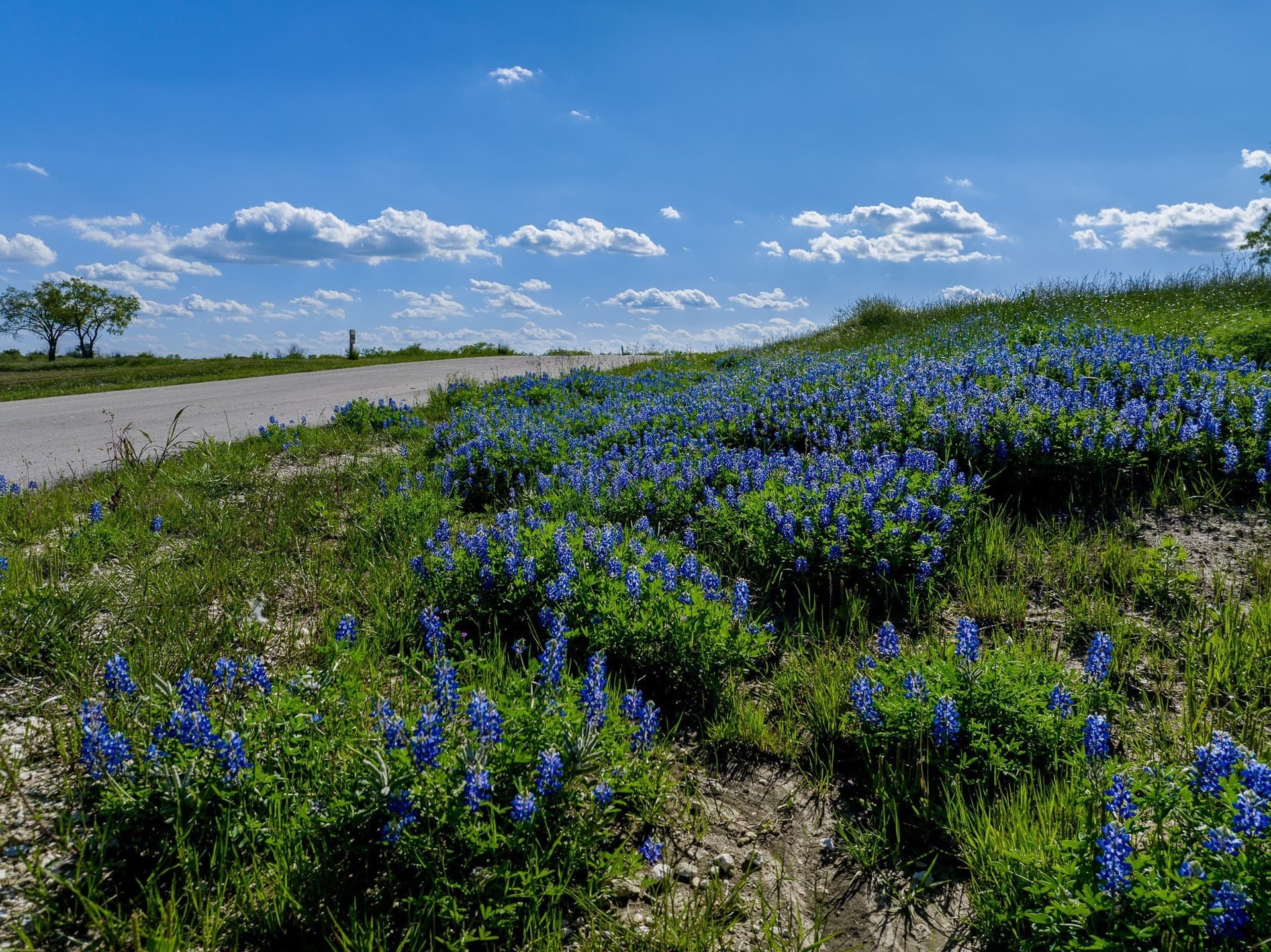1.06 acres in Navarro County - photo 25