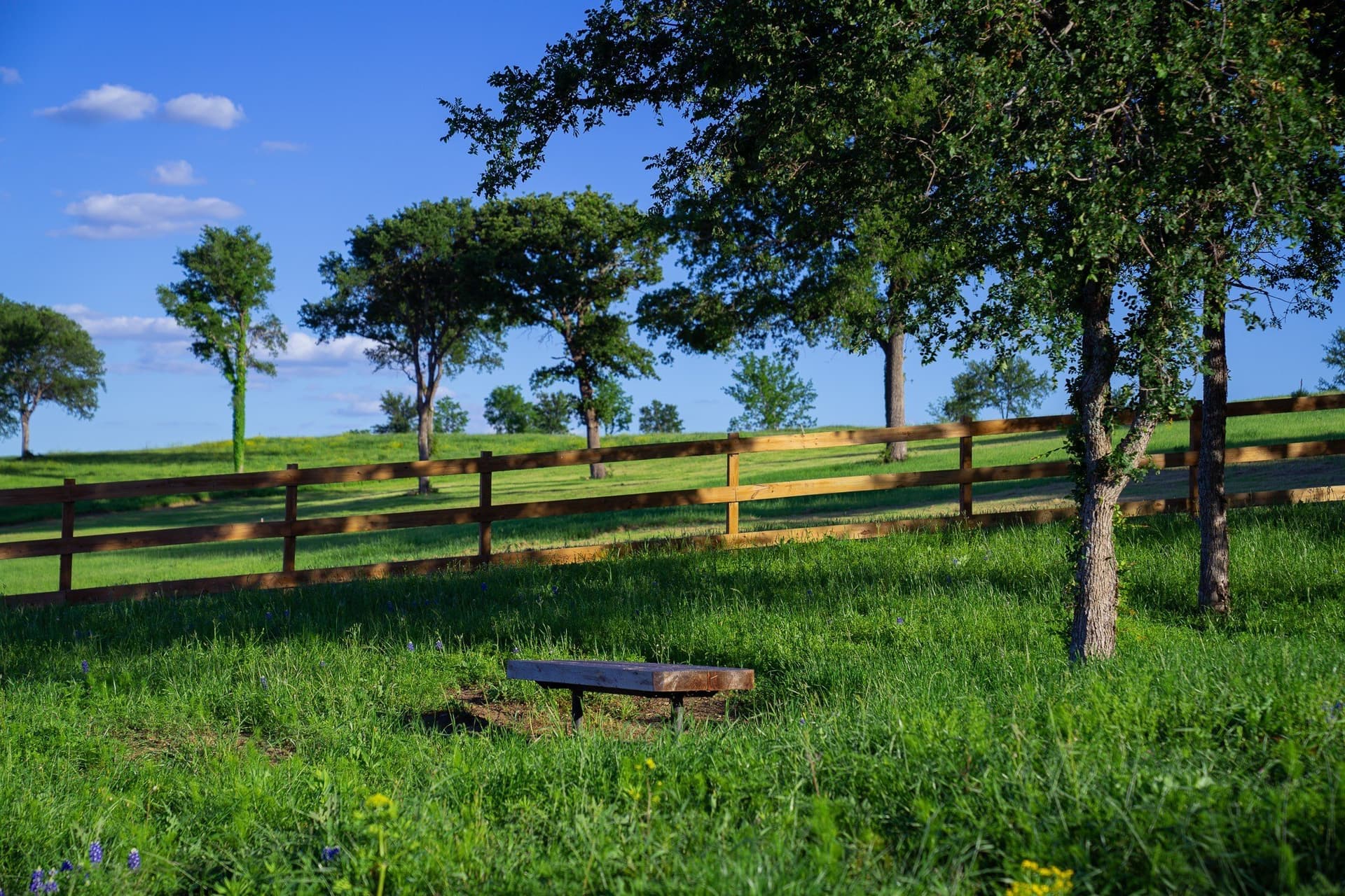 1.06 acres in Navarro County - photo 19