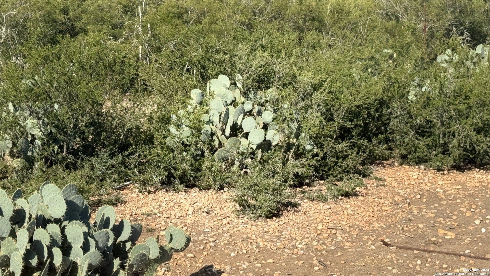 10.01 acres in Frio County - photo 14