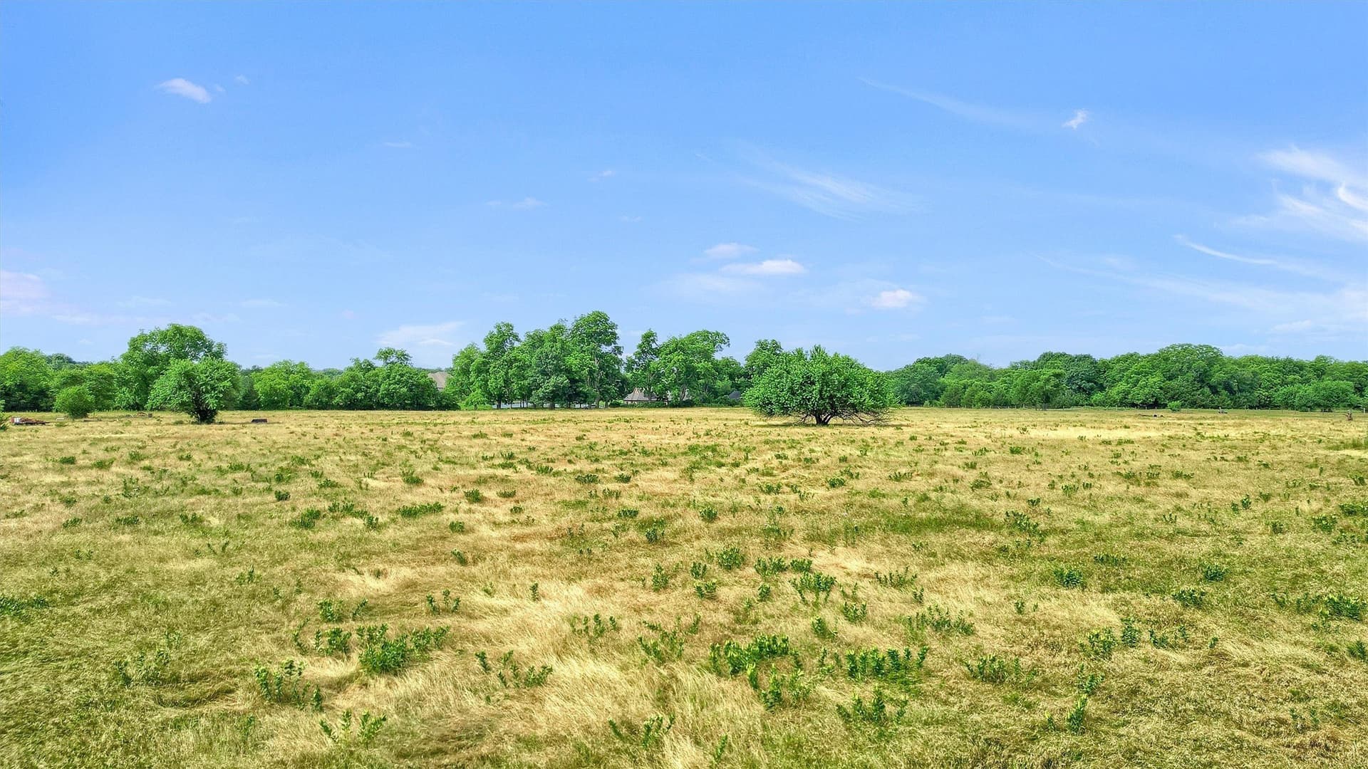 13.97 acres in Grayson County - photo 9