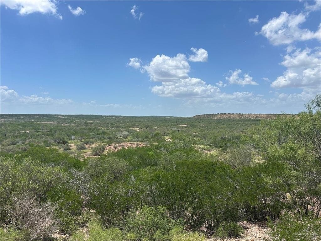 7.9 acres in Zapata County - photo 6