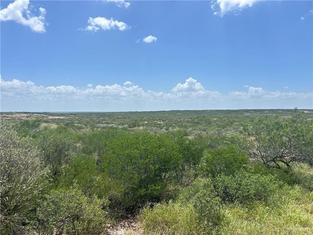 7.9 acres in Zapata County gallery image 4