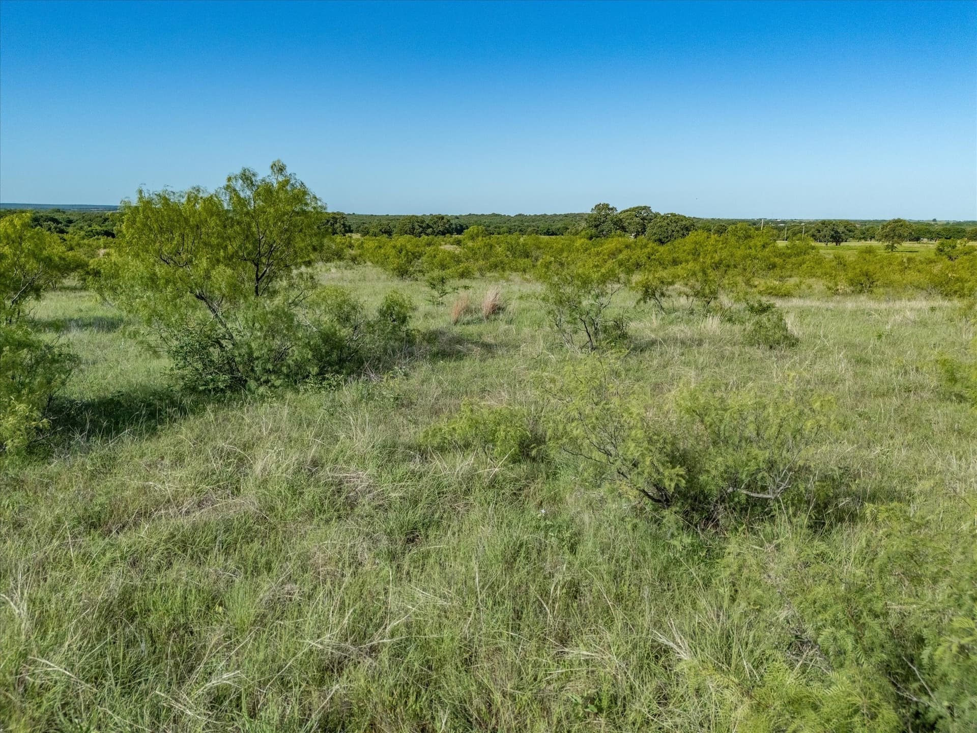 26.9 acres in Montague County - photo 8