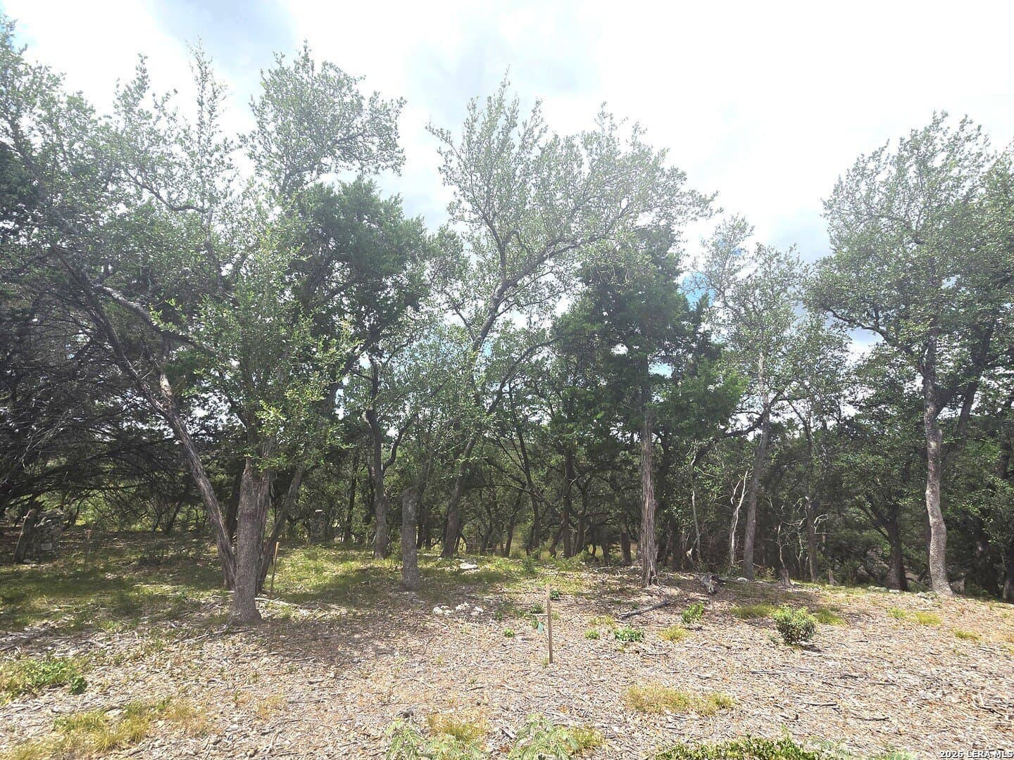 2.07 acres in Comal County - photo 20