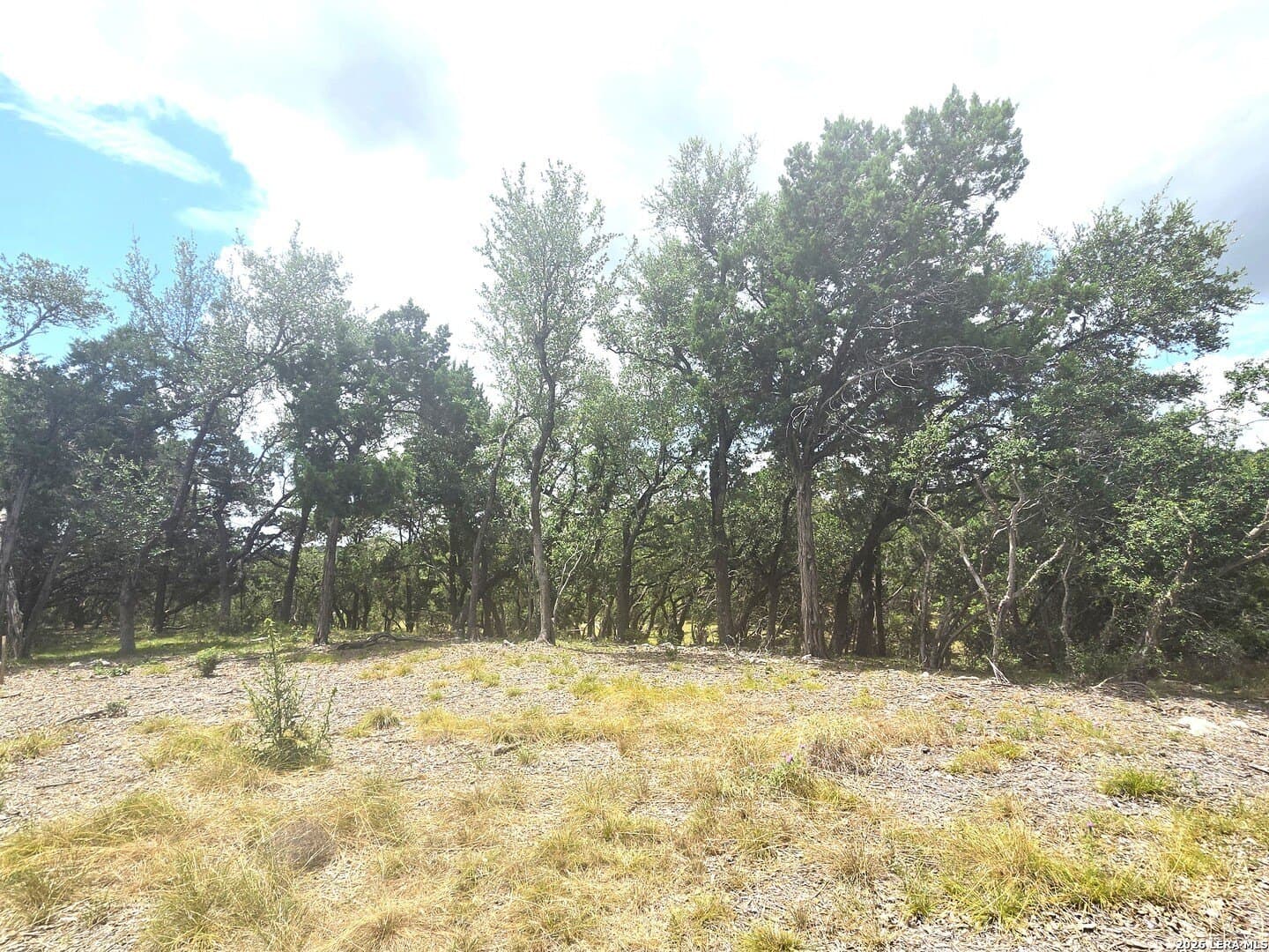 2.07 acres in Comal County - photo 17