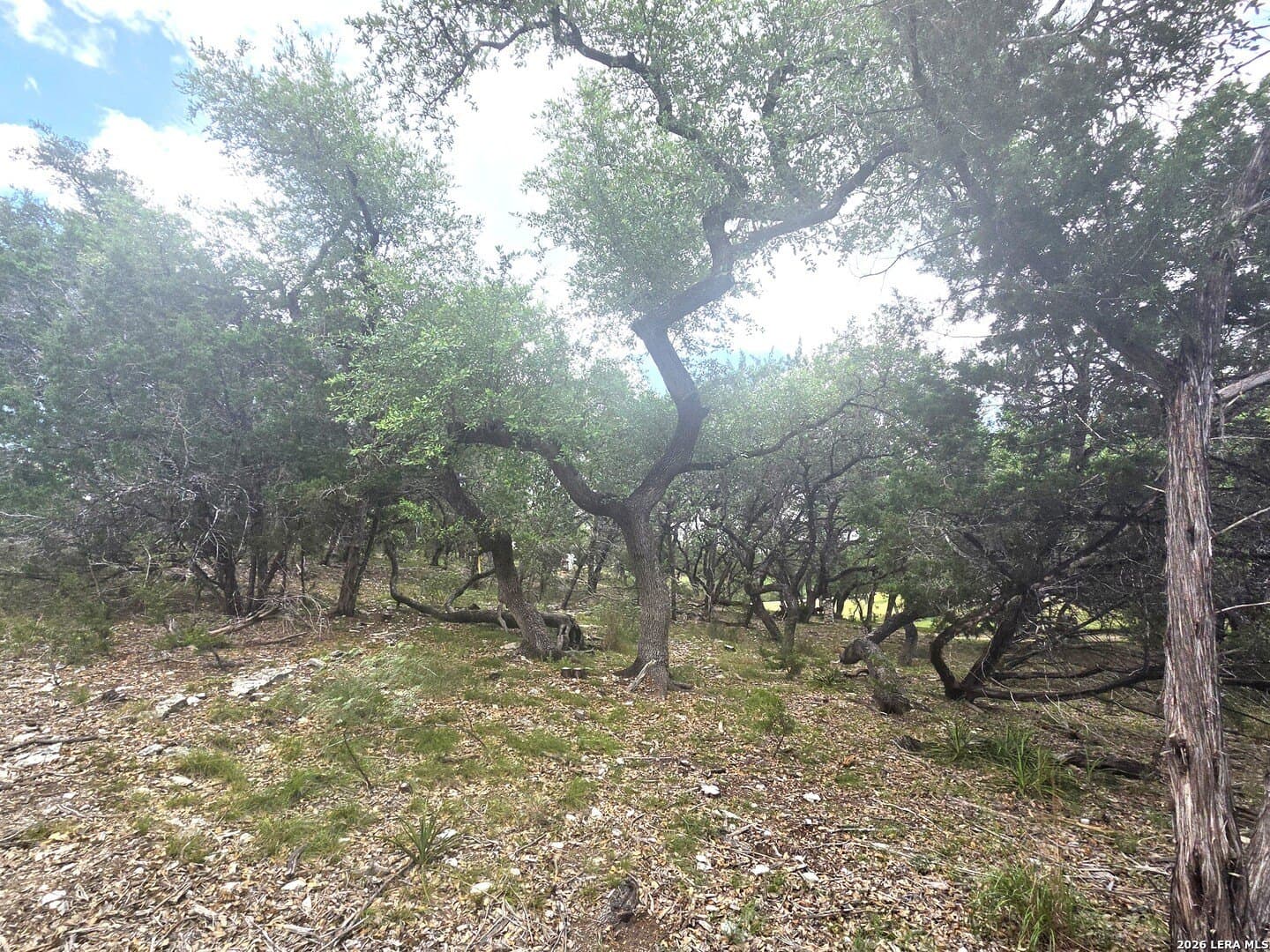 2.07 acres in Comal County - photo 30