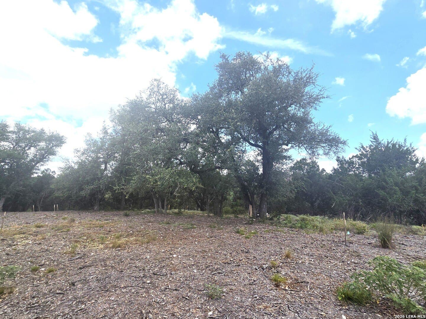 2.07 acres in Comal County - photo 21