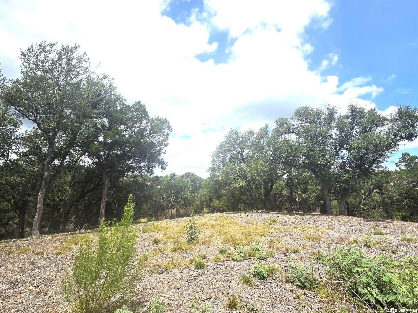 2.07 acres in Comal County - photo 19