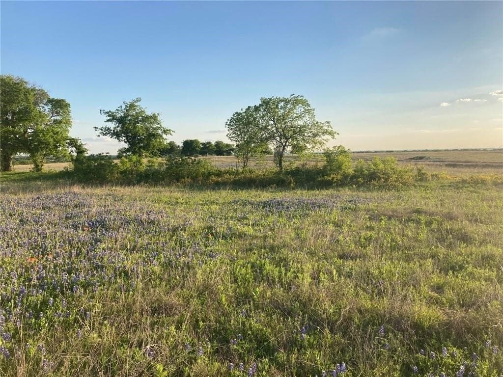 2.2 acres in Hill County - photo 8