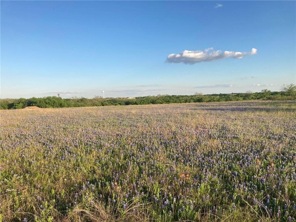 2.2 acres in Hill County - photo 7