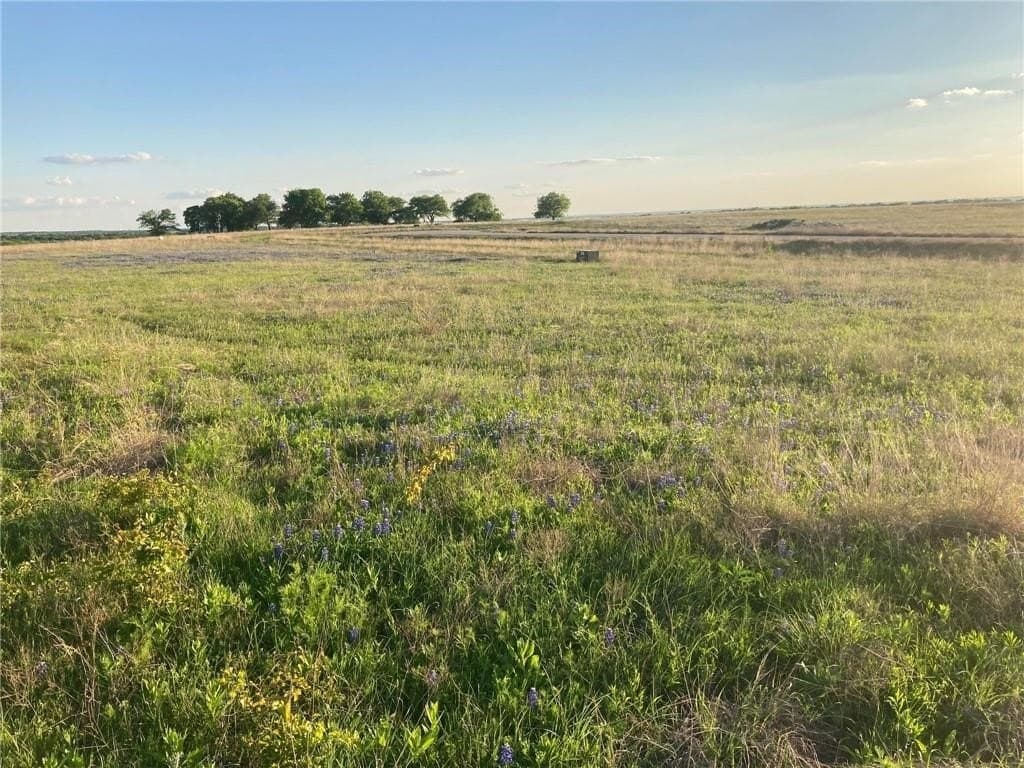 2.2 acres in Hill County - photo 10