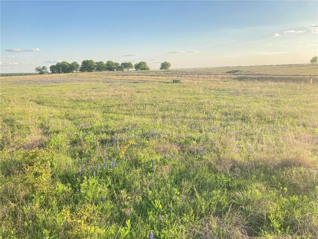 2.2 acres in Hill County - photo 9