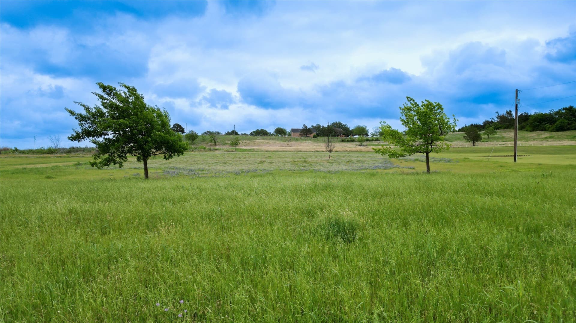 1.8 acres in McLennan County gallery image 2