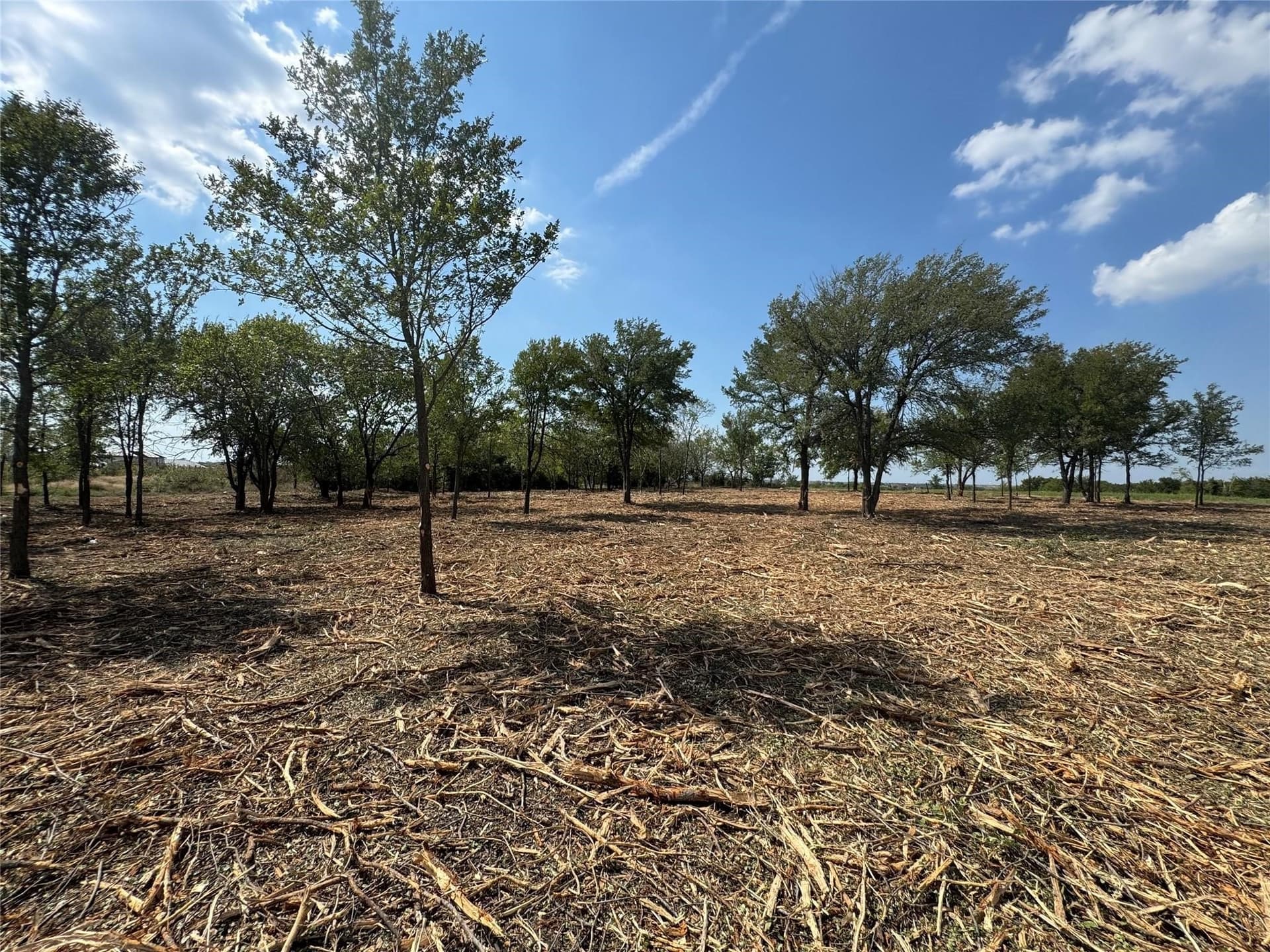 0.9 acres in Denton County - photo 7
