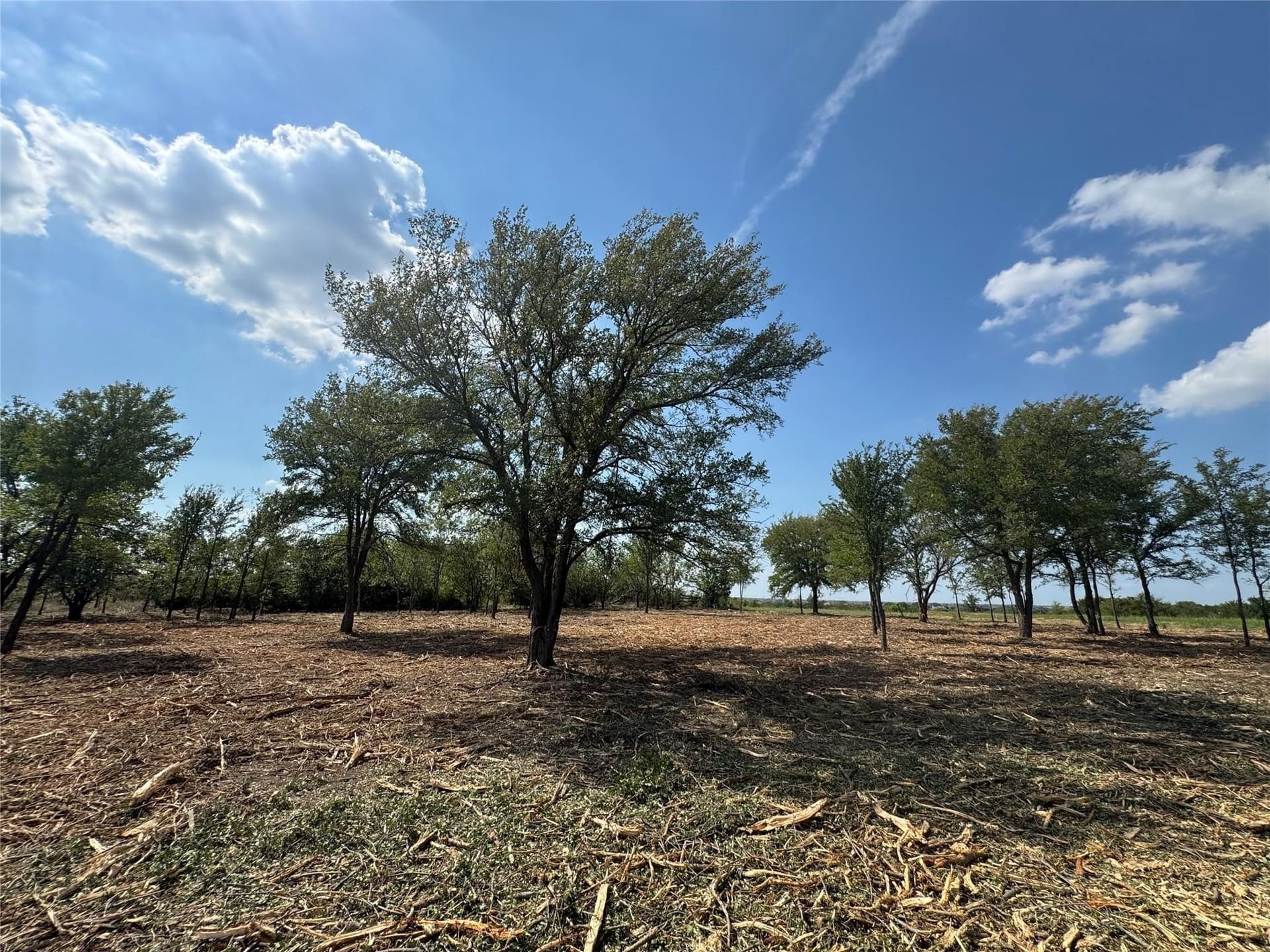0.9 acres in Denton County - photo 5