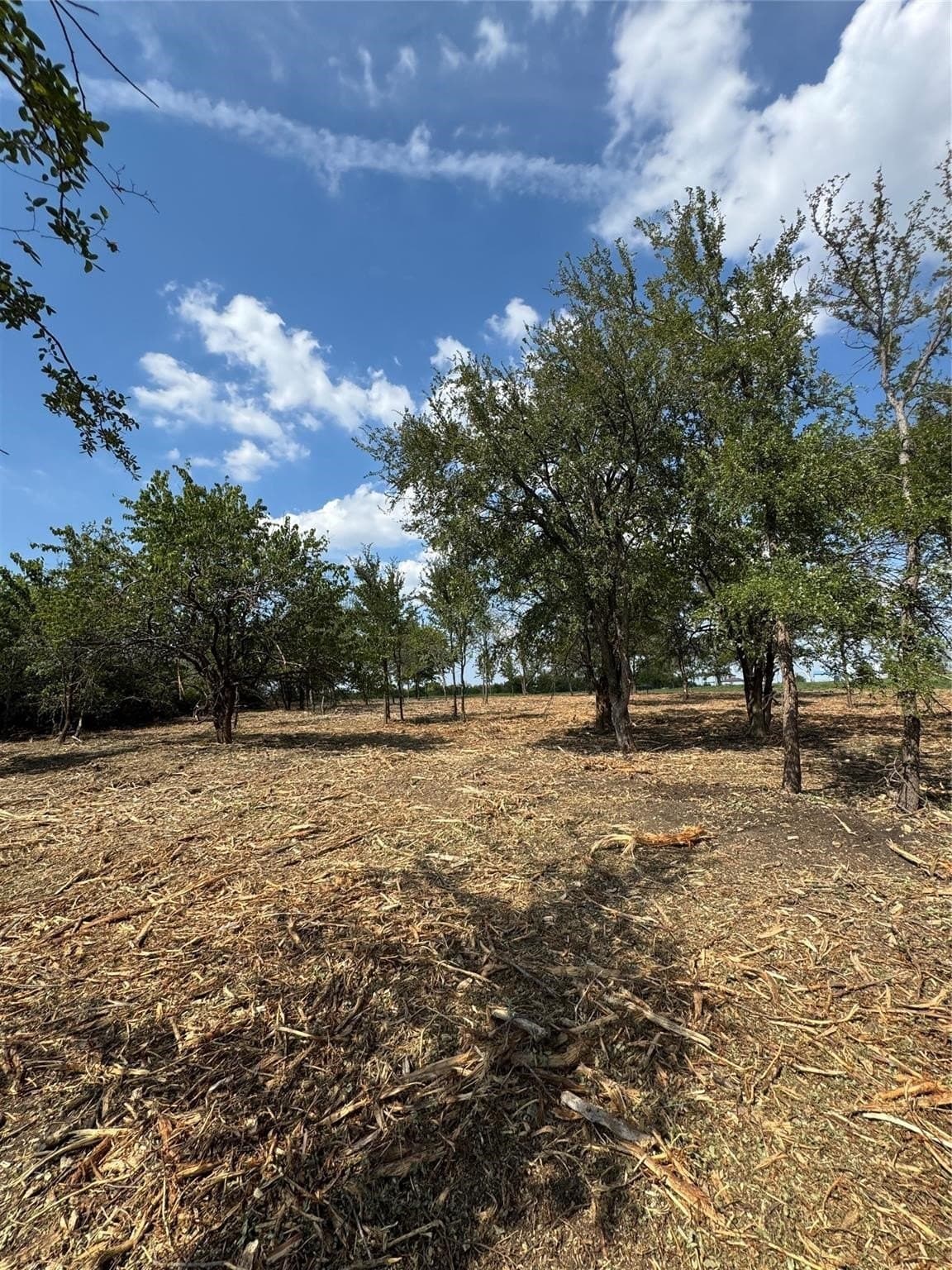 0.9 acres in Denton County - photo 8