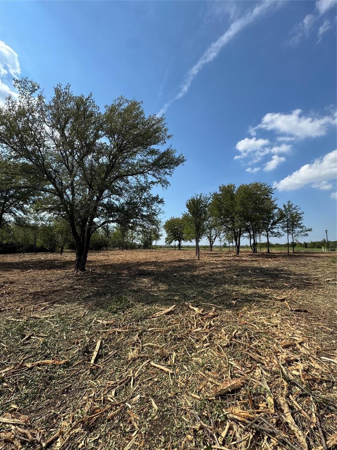 0.9 acres in Denton County - photo 4