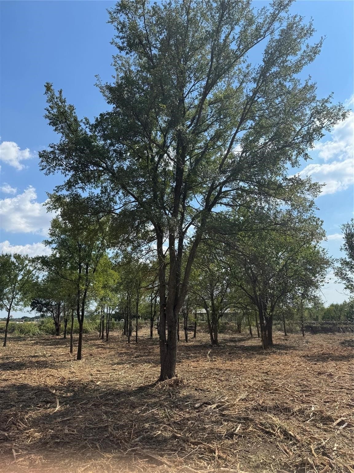 0.9 acres in Denton County - photo 6