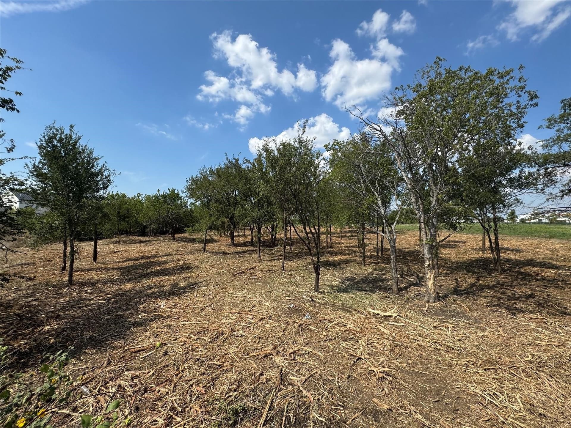 0.9 acres in Denton County - photo 9