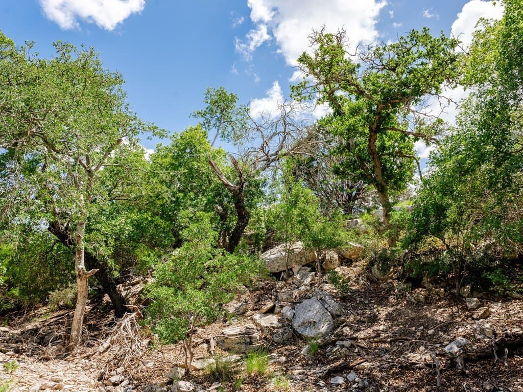 10.26 acres in Gillespie County - photo 13