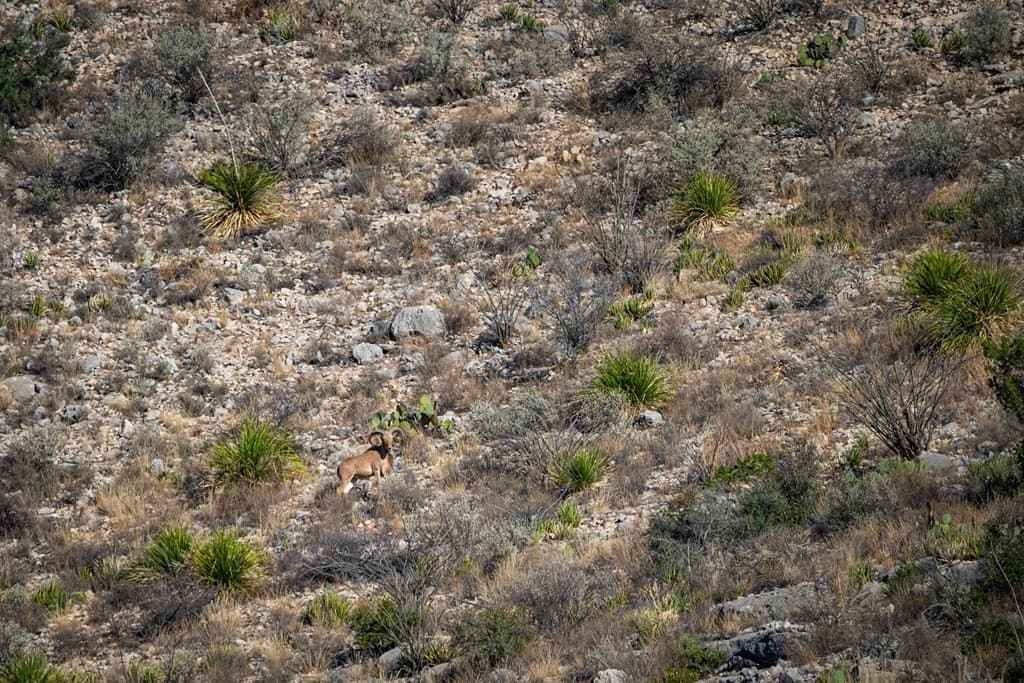 8,499 acres in Val Verde County - photo 20