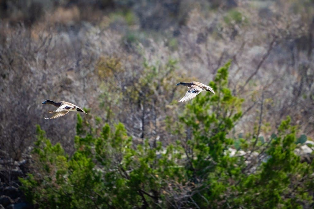 8,499 acres in Val Verde County - photo 18