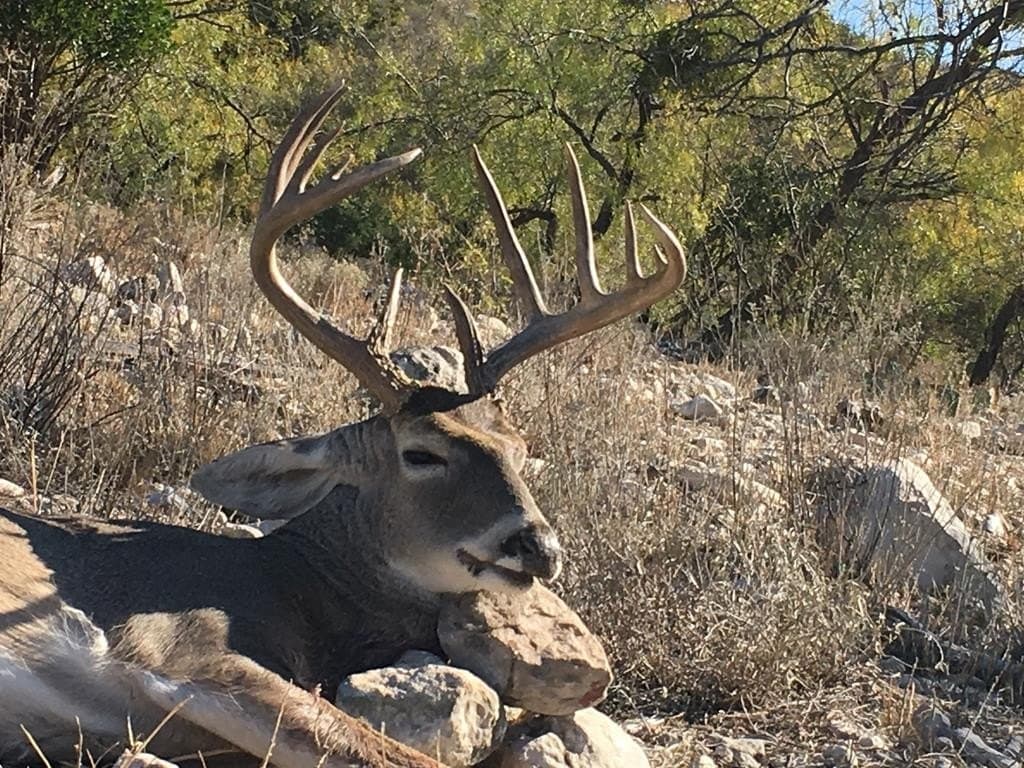8,499 acres in Val Verde County - photo 24