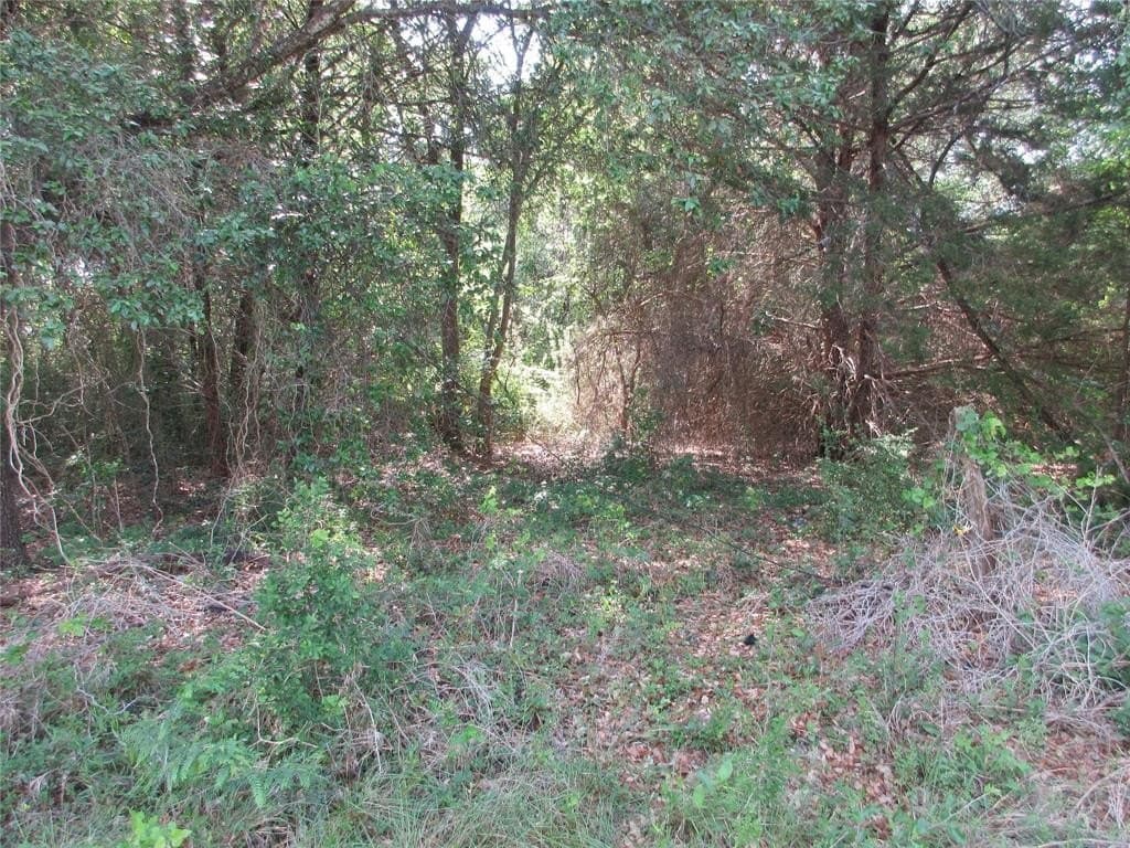 6.55 acres in Falls County featured view