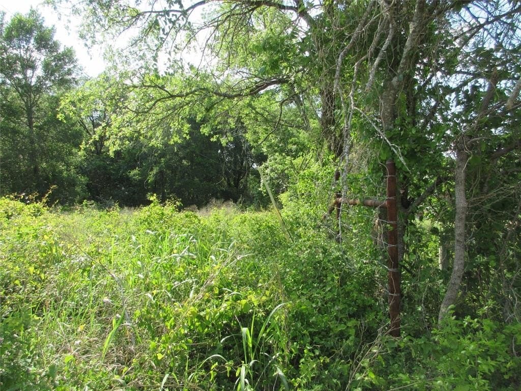 6.55 acres in Falls County gallery image 3