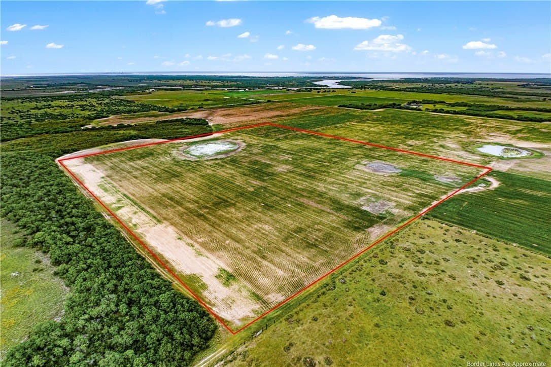 20 acres in Kleberg County gallery image 2
