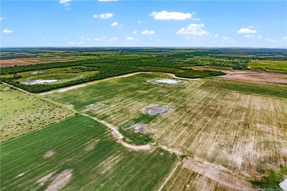 20 acres in Kleberg County gallery image 3